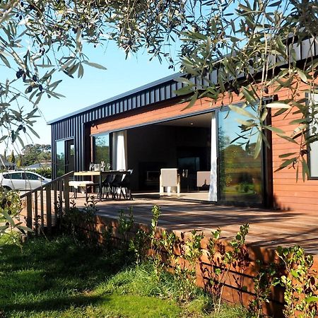 Pinot Longbox - Martinborough Holiday Home Экстерьер фото
